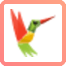 Colibrico Design Studio