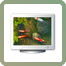 Koi Fish 3D Screensaver