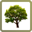 Lake Tree 3D Screensaver