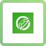 Live Mail to Outlook Transfer