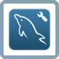 MySQL Workbench