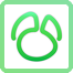 Navicat for MySQL