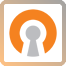 OpenVPN