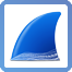 Wireshark