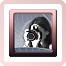 jalada Photo Converter