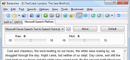 Program screenshot