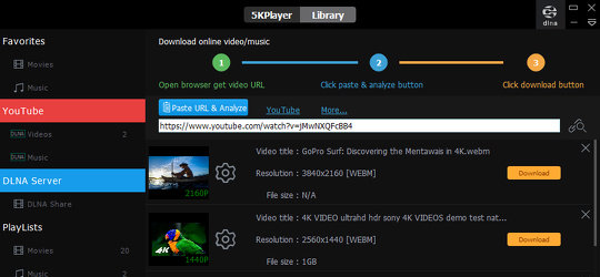 Program screenshot