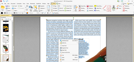 Program screenshot