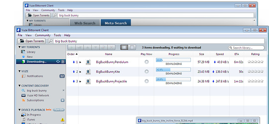 Program screenshot
