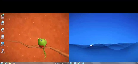 Program screenshot