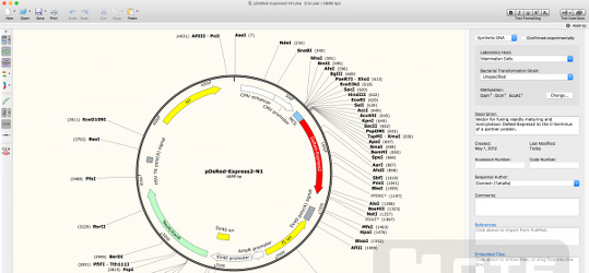 Program screenshot