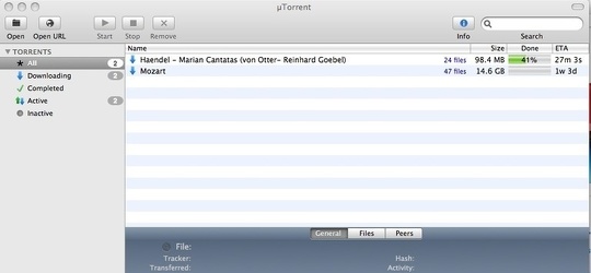 Main Interface