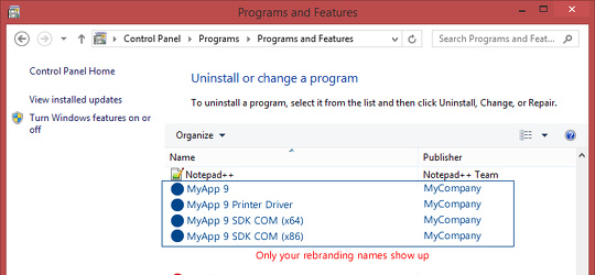 Program screenshot
