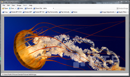 Program screenshot