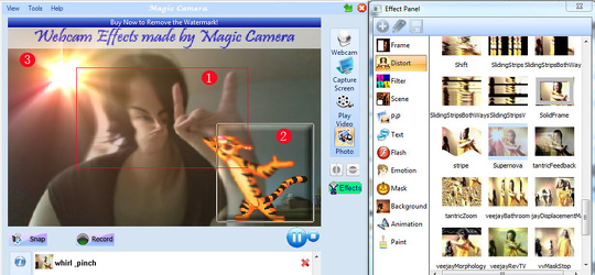 Program screenshot