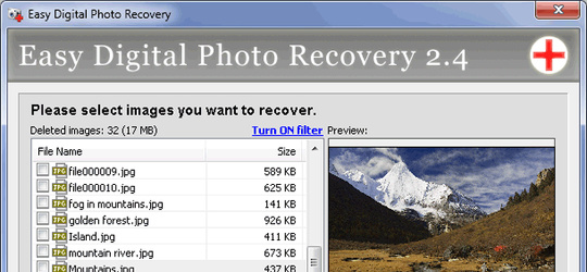 Program screenshot