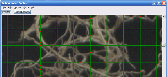 Program screenshot