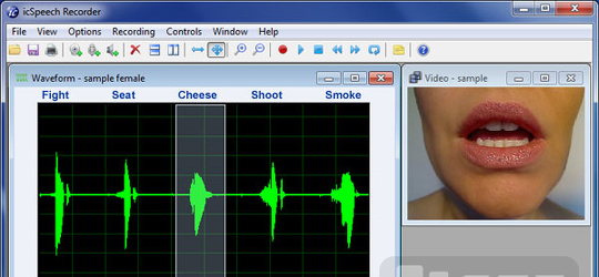 Program screenshot