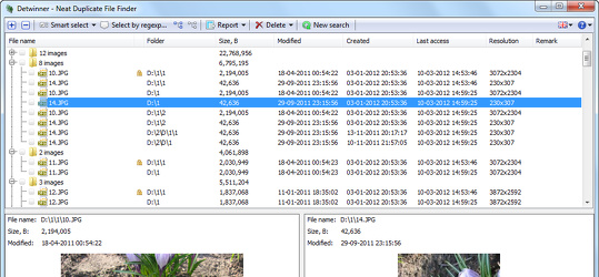 Program screenshot