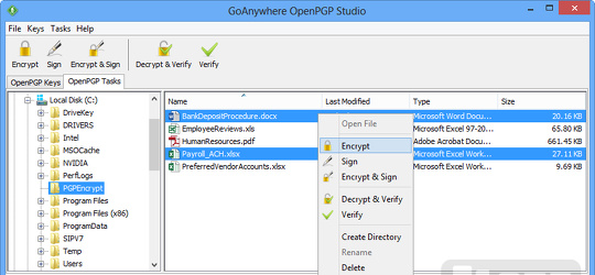 Program screenshot