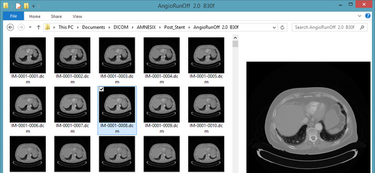 Program screenshot