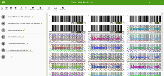 Program screenshot