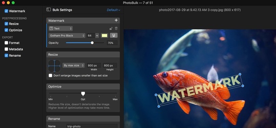 Program screenshot