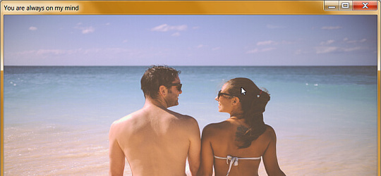 Program screenshot
