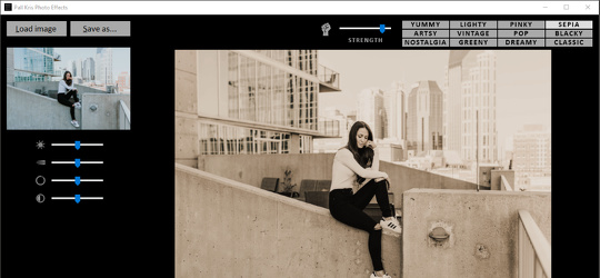 Program screenshot