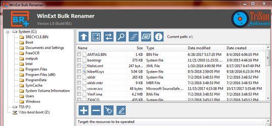 Program screenshot