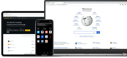 Program screenshot