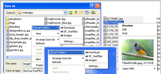 Program screenshot