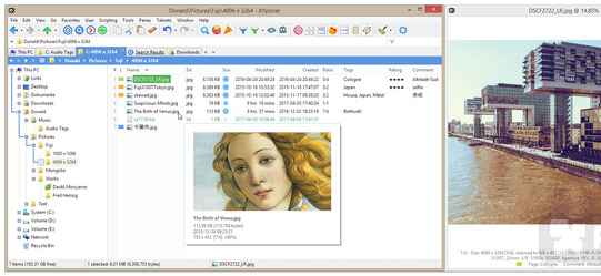 Program screenshot