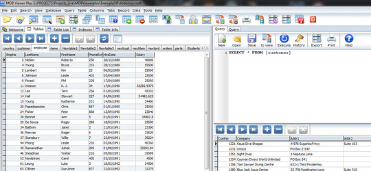 Program screenshot