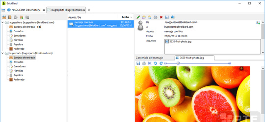 Program screenshot